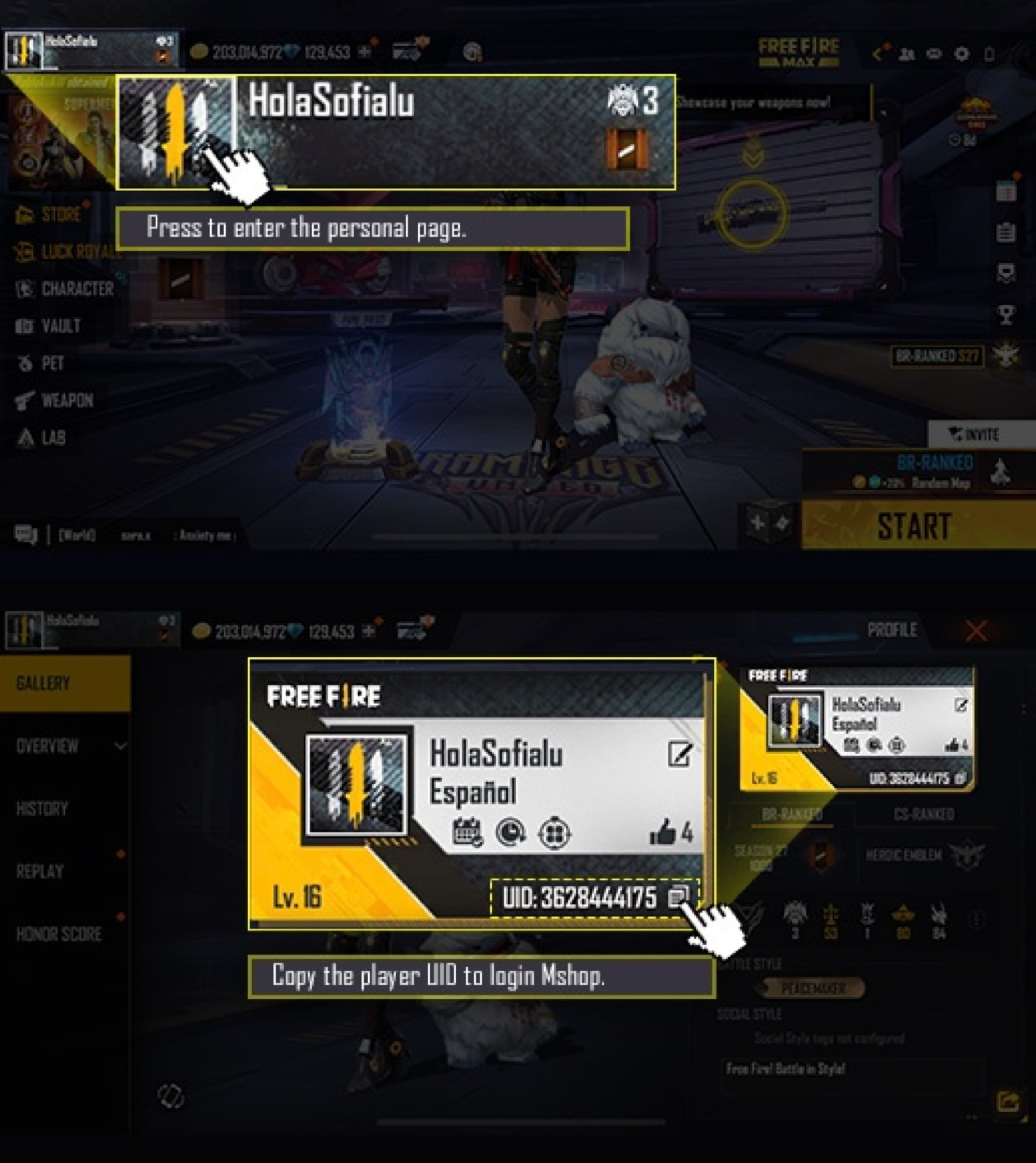 Tutorial de como encontrar o ID de jogador